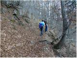 Tržiški graben - Veliki Javornik (Ženiklovec)